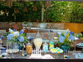 BLUE-YELLOW-CANDY-BAR-AND-SWEETS-II