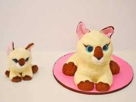 TOY CAT AND TOY CAT CAKE