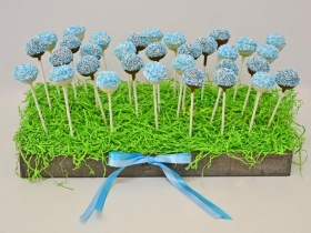 POPS WITH BLUE AND WHITE SPRINKLES IN GREY TRAY